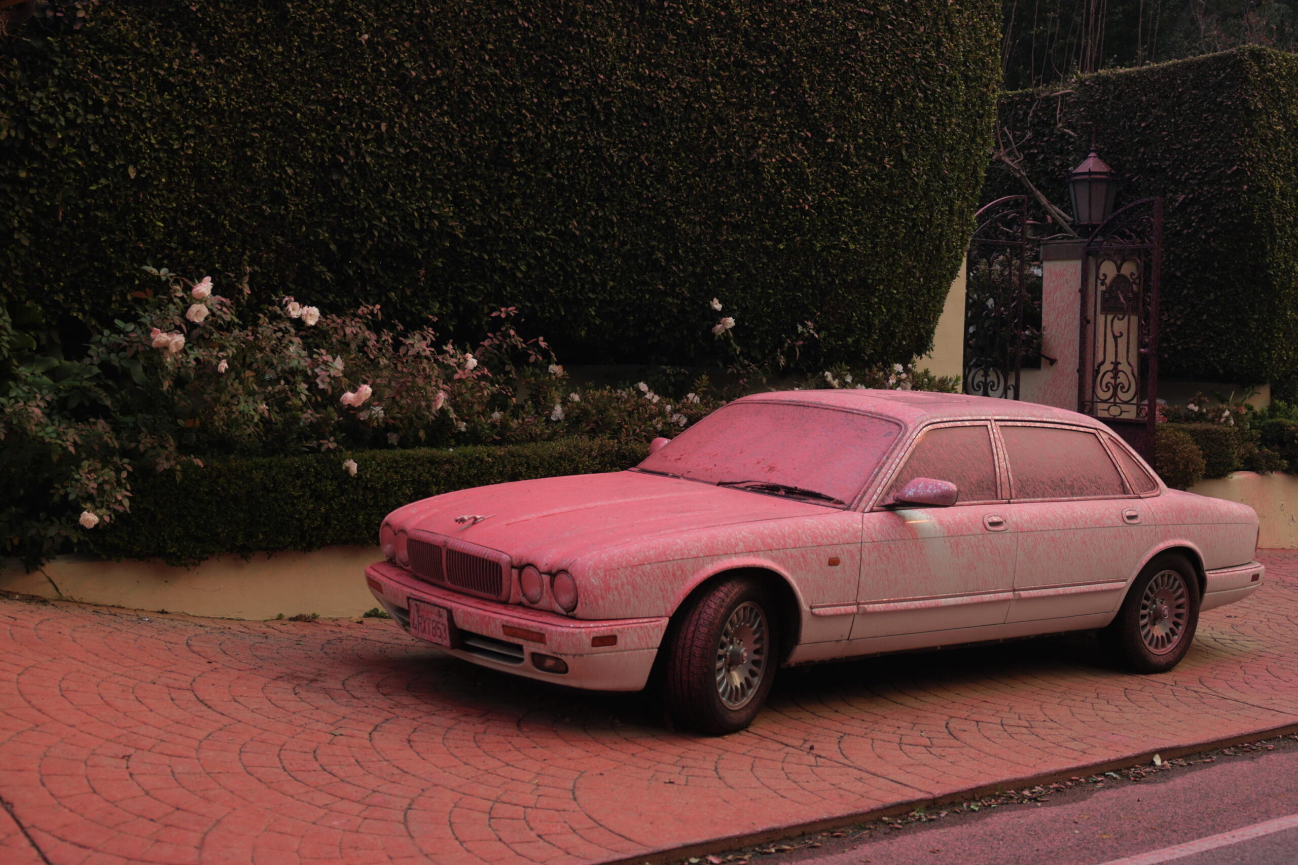 la polvere rosa che ricopre un'auto a los angeles