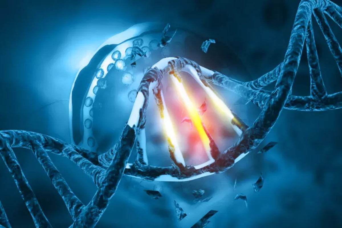 rappresentazione di dna danneggiato