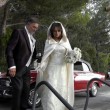 Fabio Testi e Antonella Liguori sposi, le foto del matrimonio a Capri