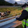 A16, pullmino contro barriera a Baiano (Avellino): 5 operai morti04