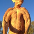 Roger, il canguro palestrato: 89 kg di muscoli per 2 metri di altezza02