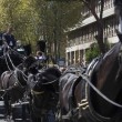 Casamonica funerale sfacciato: cavalli, Padrino, Rolls Royce4