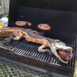 FOTO Coccodrillo intero cucinato alla brace, barbecue Usa