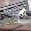 Video YouTube - Orso polare attacca donna 3