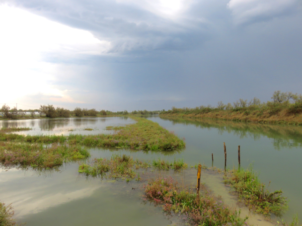 La laguna veneta oltre Venezia