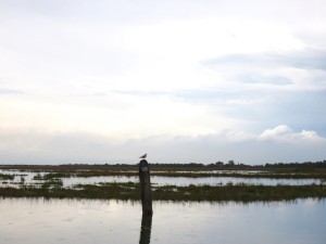 La laguna veneta oltre Venezia