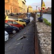 Firenze, voragine su Lungarno: 20 auto inghiottite FOTO9