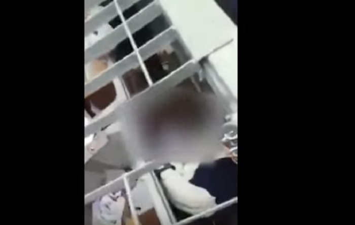 Chiusero rom in gabbia a Follonica e postarono VIDEO
