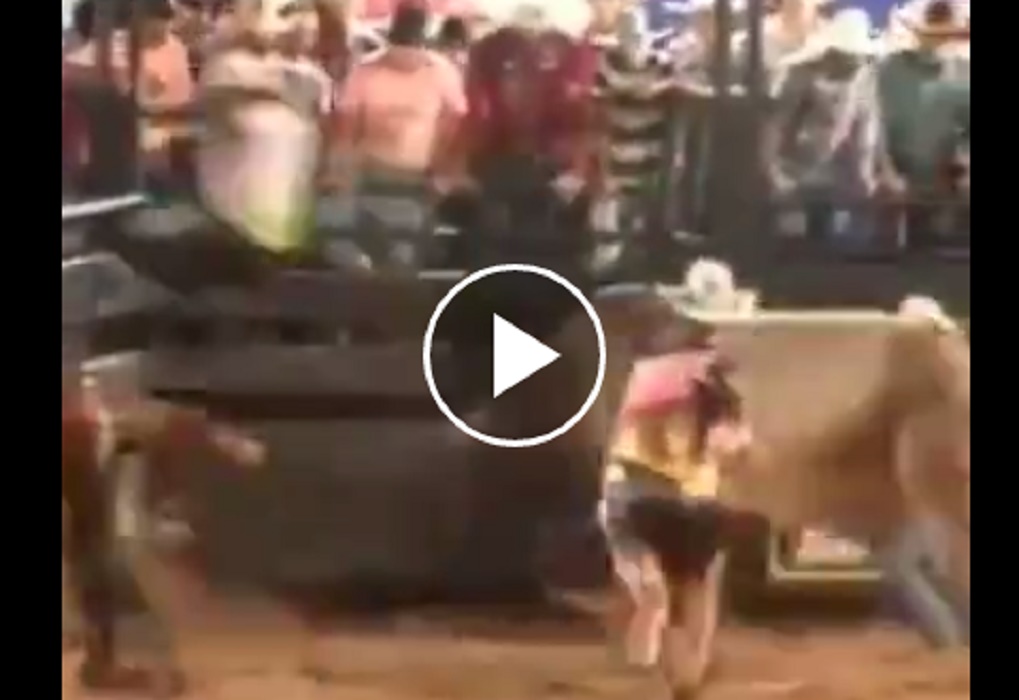 Rodeo in Brasile: cowboy viene lanciato da toro verso la tribuna
