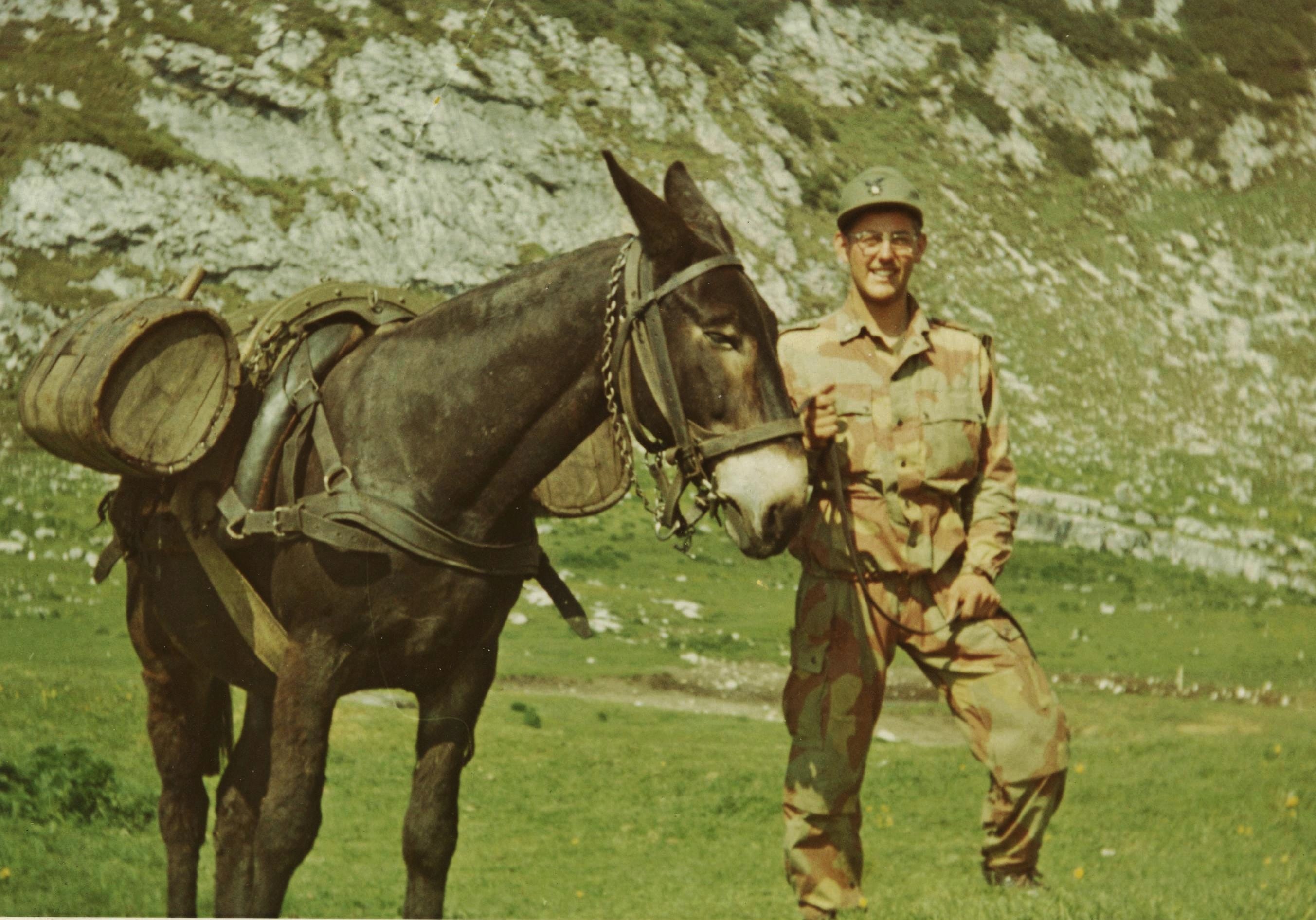 Servizio militare, muli aiutano gli Alpini del sesto reggimento di Brunico FOTO