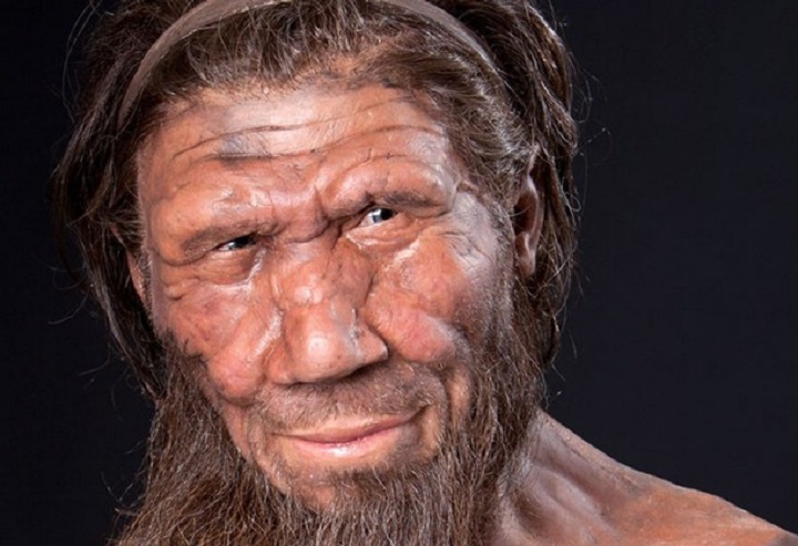 Siamo tutti un po' neri e Neanderthal. Dna: la scienza smonta il razzismo (foto Ansa)