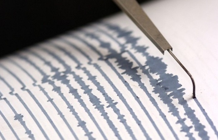 Terremoto Iran, scossa di magnitudo 5,2. Almeno 31 feriti. Danni alla rete elettrica