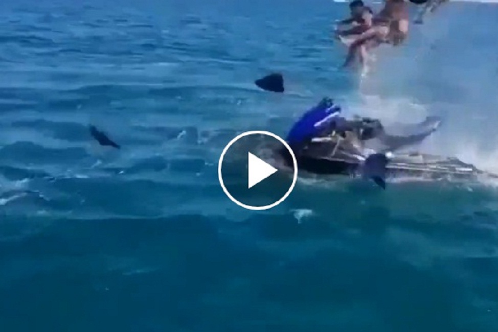 Moto d'acqua esplode all'improvviso: padre e figlio catapultati in mare VIDEO