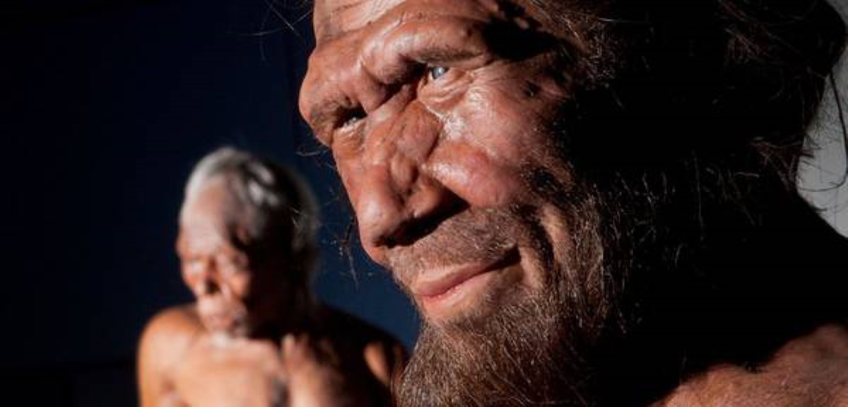 Neanderthal estinti solo per sfortuna?