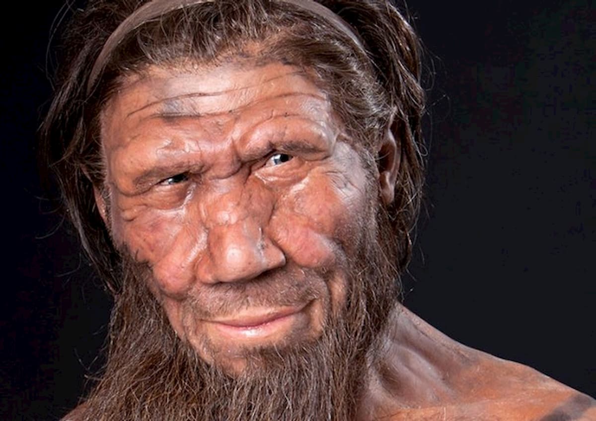 Neanderthal e Homo Sapiens, una guerra lunga 150mila anni