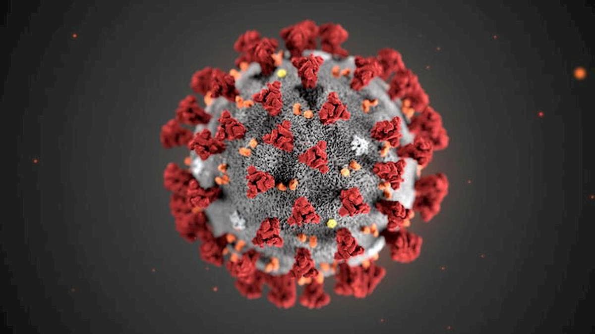 Coronavirus, l'infettivologo Massimo Galli: "Il contagio asintomatico è tecnicamente possibile"