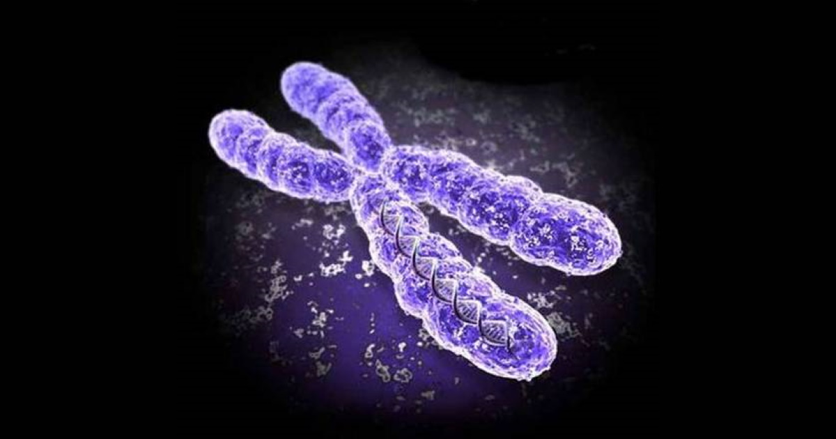 Trapianto di cromosoma per correggere malattie genetiche rare