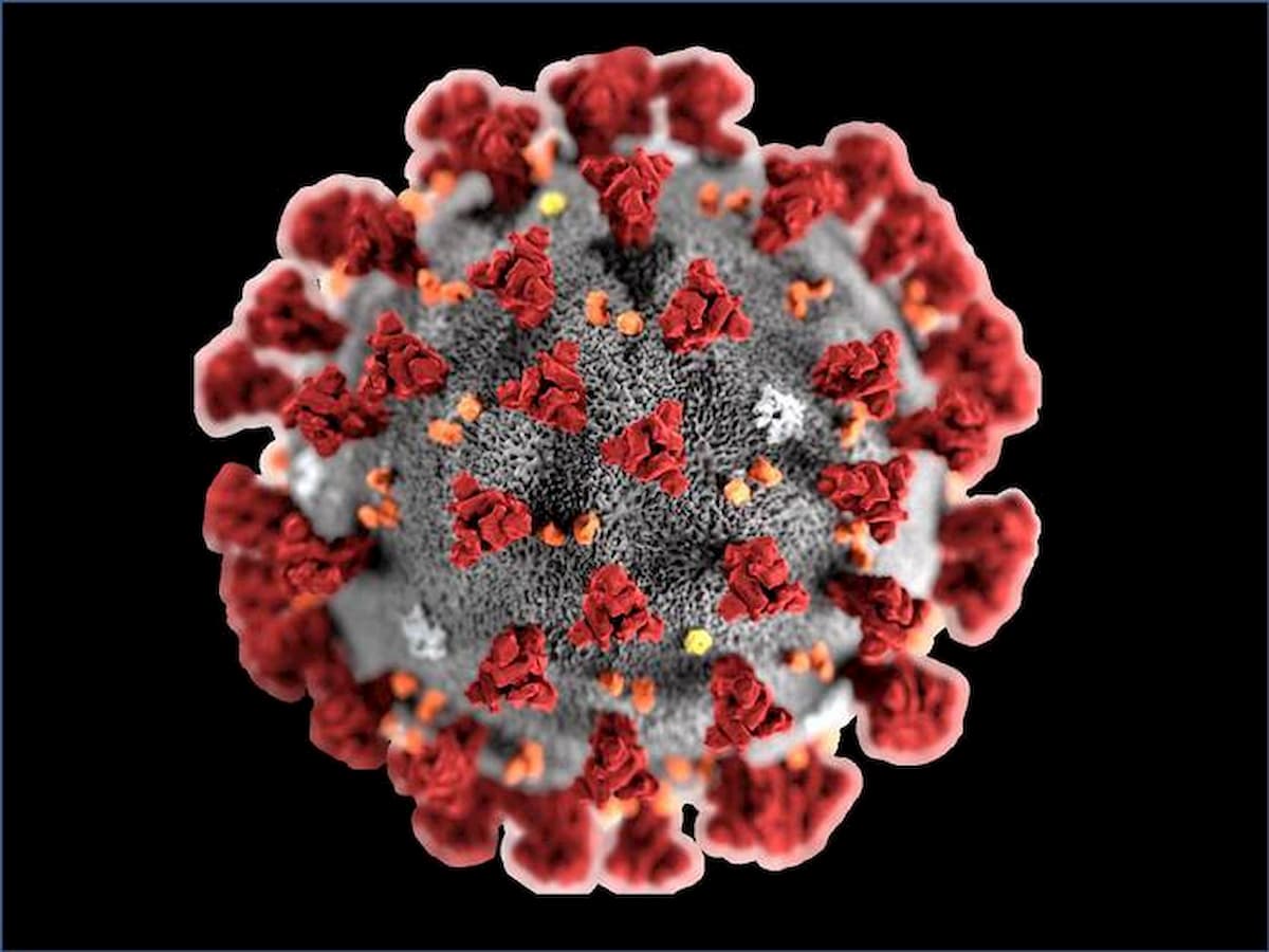 Coronavirus, per ogni caso confermato altri 5-10 sfuggono. E causano l'80% dei nuovi casi
