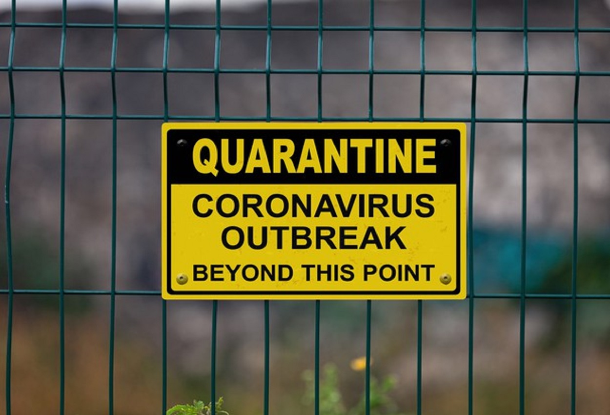 Coronavirus, Ansa