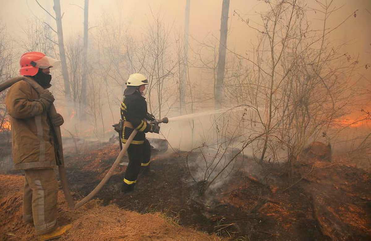 Reitano, paese assediato dalle fiamme: incendio divampa alimentato da scirocco