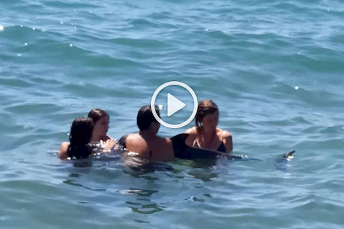 Ischia, delfino a riva in agonia: muore tra le braccia dei bagnanti VIDEO