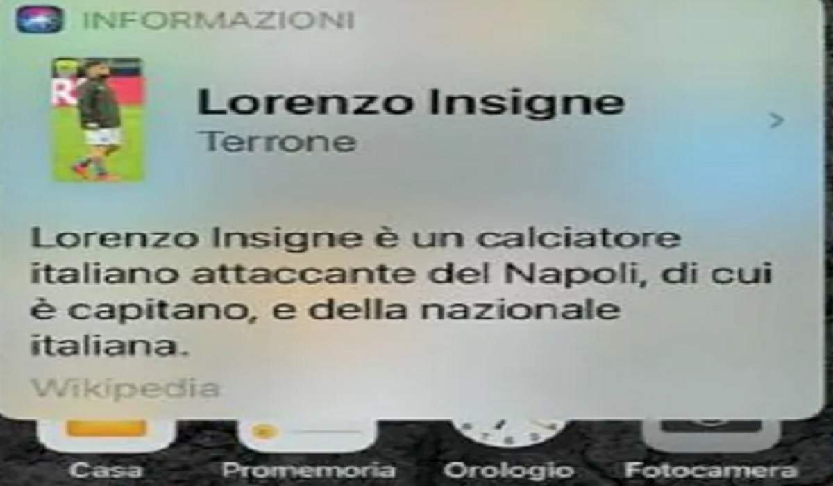 lorenzo insigne terrone