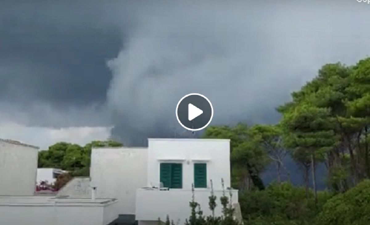 Tromba D'aria A San Foca E Torre Dell'Orso In Salento, Alberi Sradicati ...