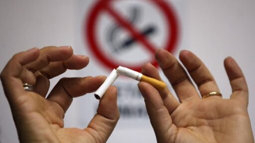 A Modena non si potrà più fumare nei parchi pubblici, agli ingressi delle scuole e alle fermate del bus