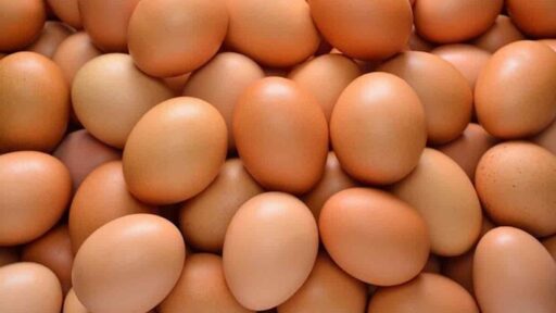prezzo uova