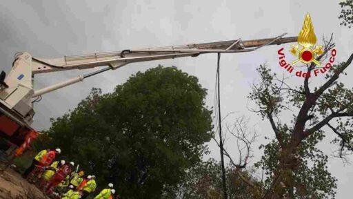 Cede piattaforma mentre potano gli alberi al Golf Club di Noverato: 2 operai morti e 1 ferito