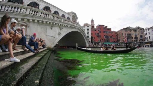 acqua verde venezia