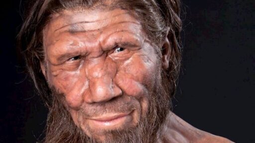 Covid, nonno Neanderthal ci ha messo nei guai, intanto la nuova variante dilaga, 30.000 infettati in una settimana, cinque volte che un mese fa
