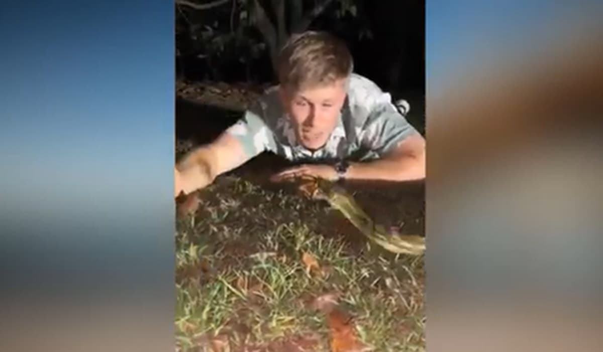 Robert Irwin, l'ambientalista attaccato da un pitone VIDEO