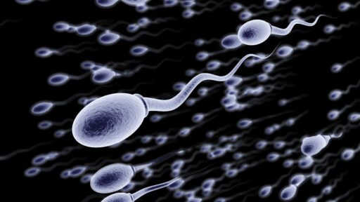 Cercasi sperma no vax: sui social gli annunci di alcune aspiranti mamme