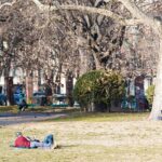 Le previsioni meteo, foto archivio ANSA