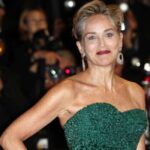 Scandalo a Holliwood dopo la rivelazione di Sharon Stone: "Fai l'amore con Billy Baldwin, mi chiesero", ma lei non accettò, il film andò male