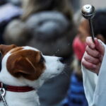 parroco caccia cane chiesa