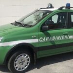 Carabinieri, foto archivio ANSA