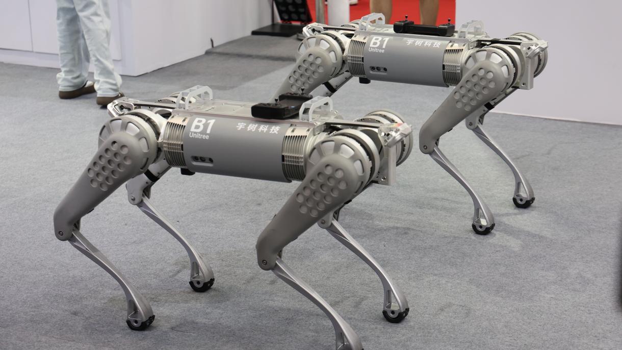 robot cani guerra cina