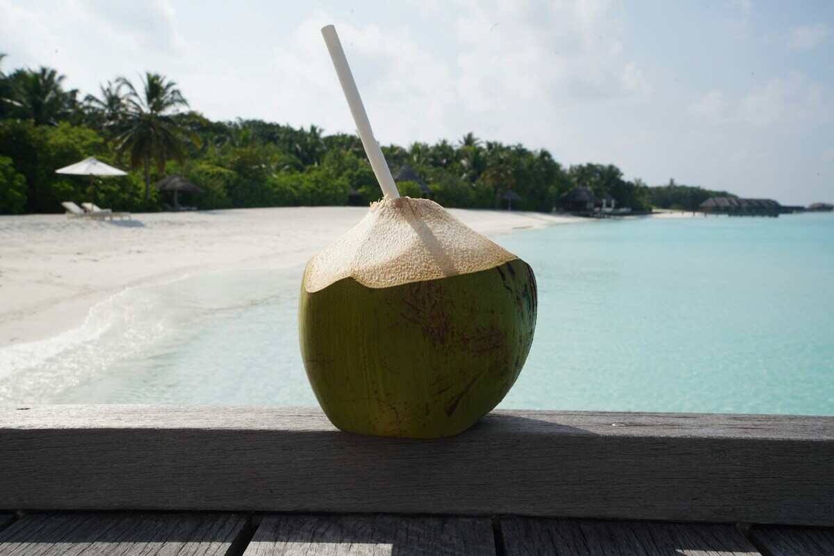 acqua di cocco con sfondo del mare