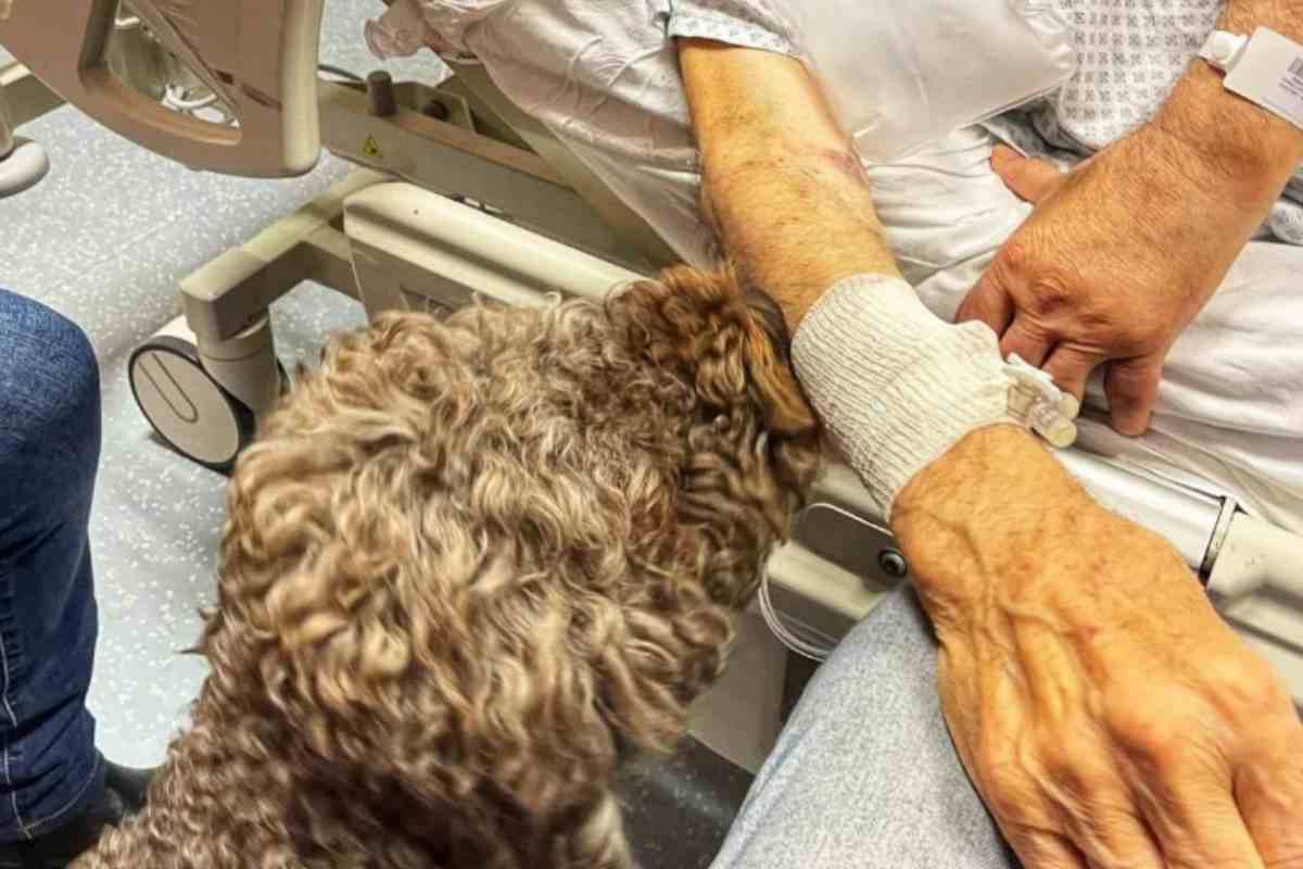 anziano incontra per l'ultima volta il suo cane