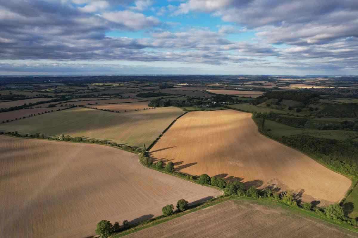 campo agricolo