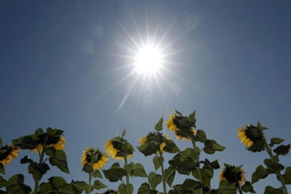 Un sole splendente, ma troppo caldo