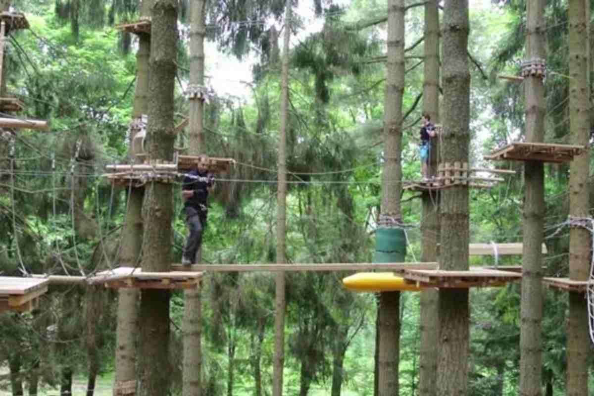 parco avventura bosco