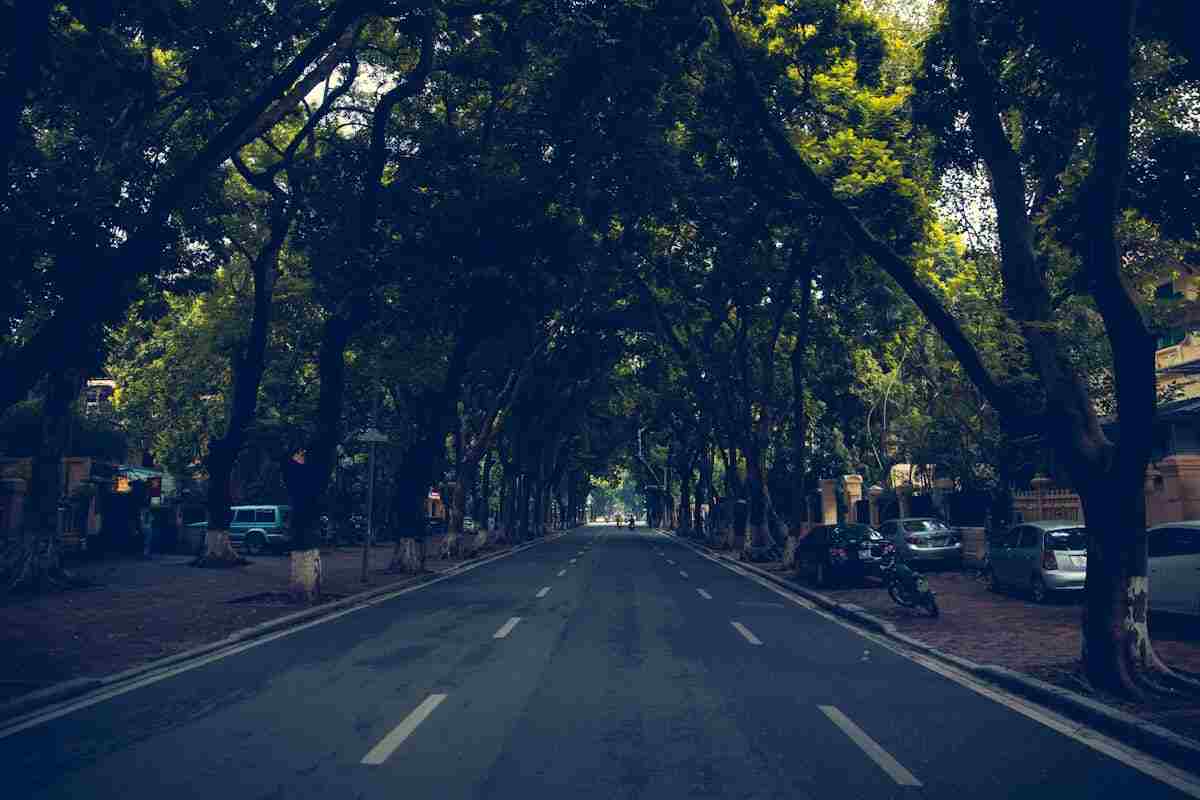 una via di un quartiere ricca di alberi