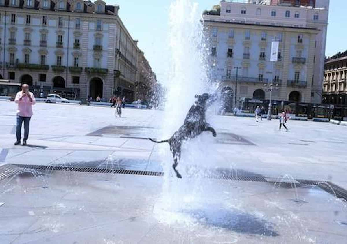 Un cane si rinfresca con un getto d'acqua in piazza san Carlo a Torino deserta per il ferragosto