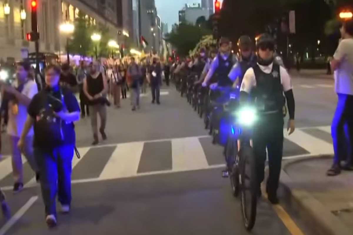 Corteo pro-Palestina a Chicago