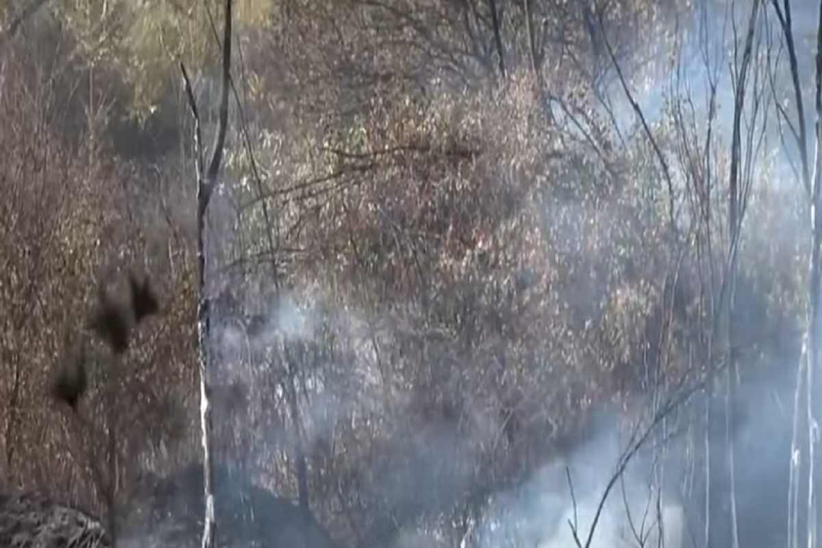 un'immagine dell'incendio a Cinecittà