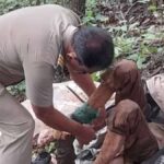 La donna legata nella foresta mentre le tolgono la catena