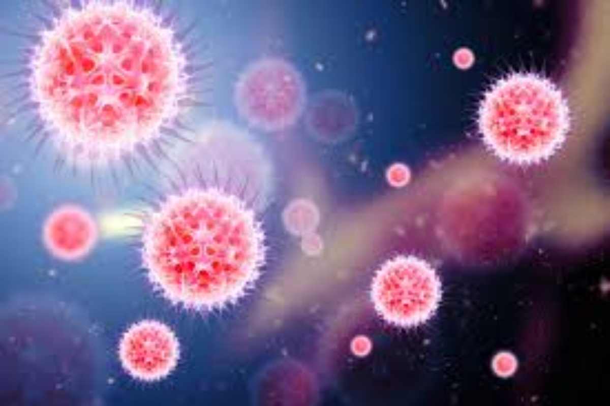 il virus del vaiolo dellescimmie